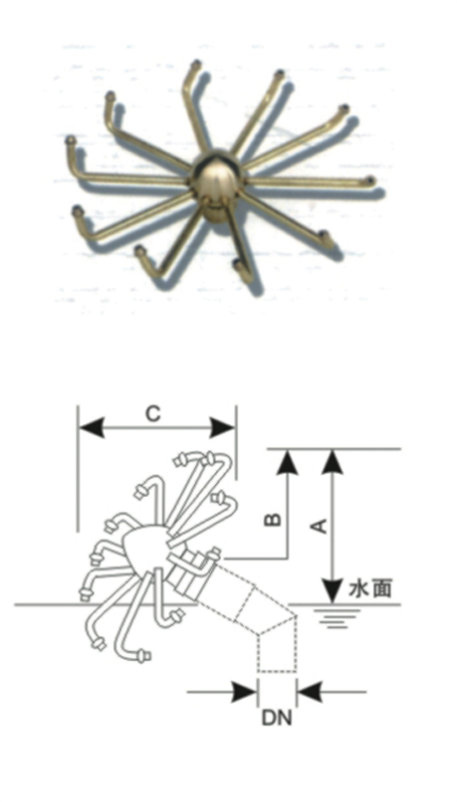 16蟹爪兰喷头.jpg